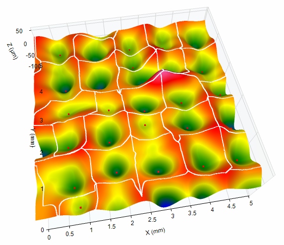 surface texture - OmniSurf3D software displays ridge lines and local pits.