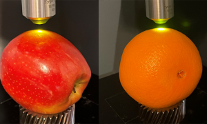 Digital Metrology - comparing surface roughness and texture using apples and oranges