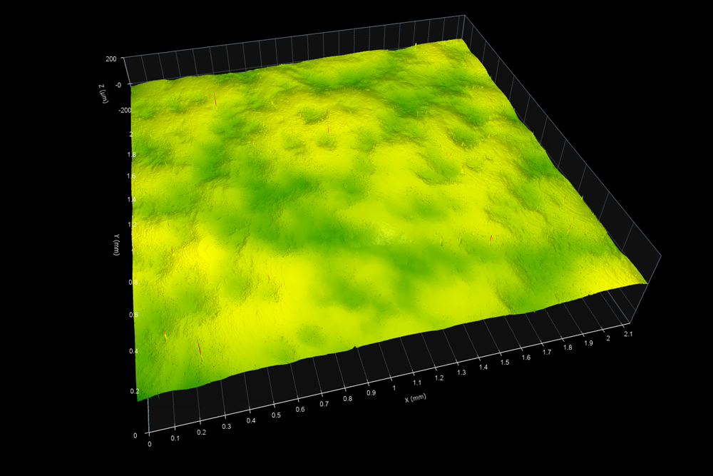 Surface Texture of Leather - Digital Metrology