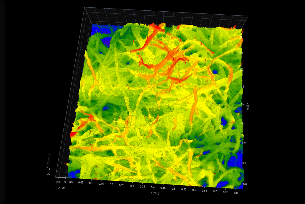 Surface Texture of Tissue Paper - Digital Metrology