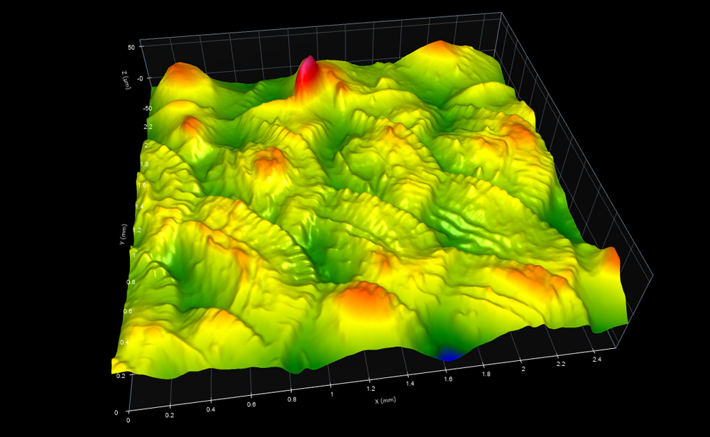 Surface Texture Software - Dr. Jessica Arbour uses OmniSurf3D surface texture software for her studies in evolution and morphology