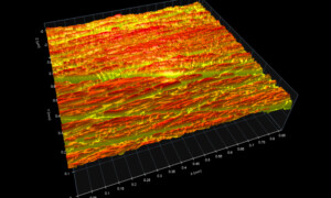 Nikasil cylinder bore surface texture