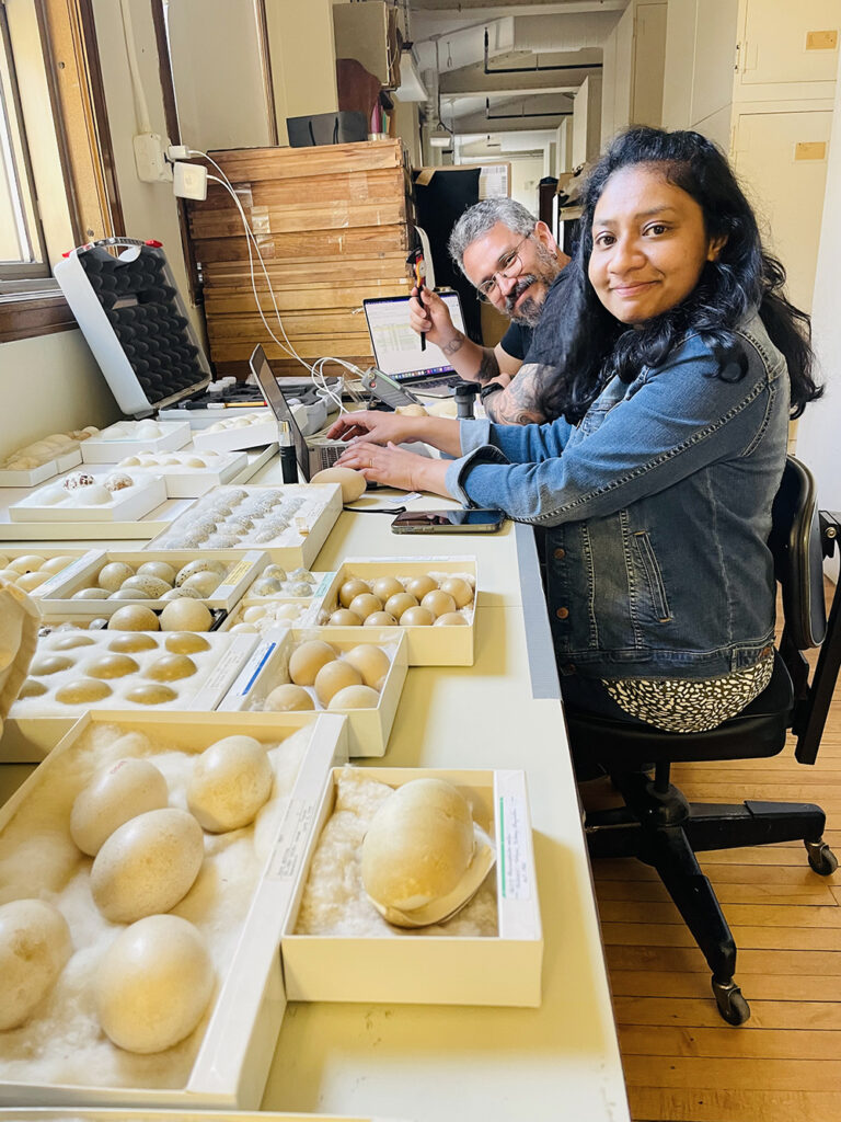 David Ocampo,Sumudu Fernando,Princeton University, Stoddard lab, Field Museum of Natural History