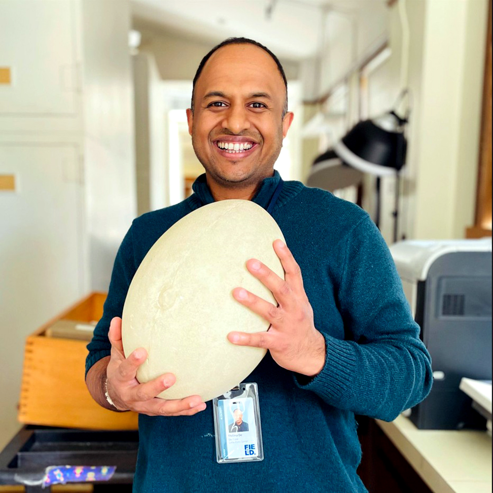 thilina de silva with elephant bird egg, Stoddard Lab at Princeton University, Eggsplorers